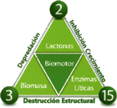 3Tac Avance Biotechnologies - Pache Agroindustrial