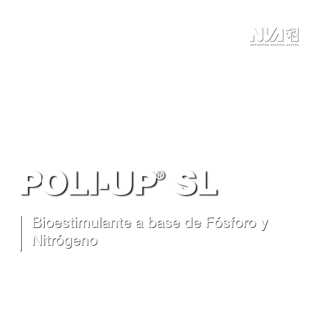 16-Poli-Up®-SL