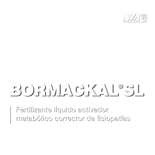 22-Bormackal®-SL