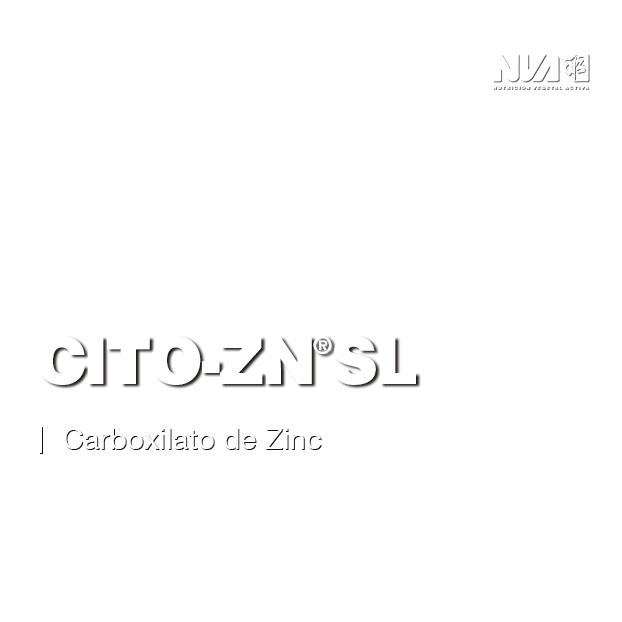 31-Cito-Zn®-SL