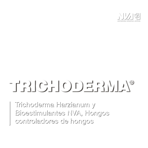 37-Trichoderma-Hongos-controladores-de-hongos