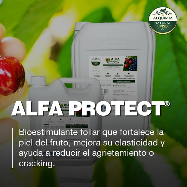 ALFA PROTECT bioestimulante foliar anti-cracking para fortalecer la piel del fruto