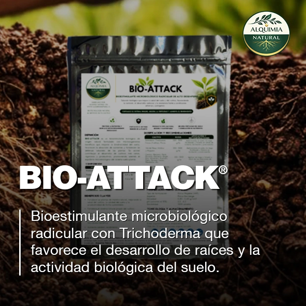 BIO-ATTACK bioestimulante microbiológico con Trichoderma para desarrollo radicular