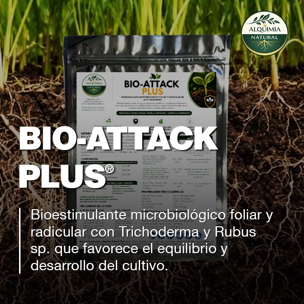 BIO-ATTACK PLUS bioestimulante microbiológico foliar y radicular con Trichoderma y Rubus sp.