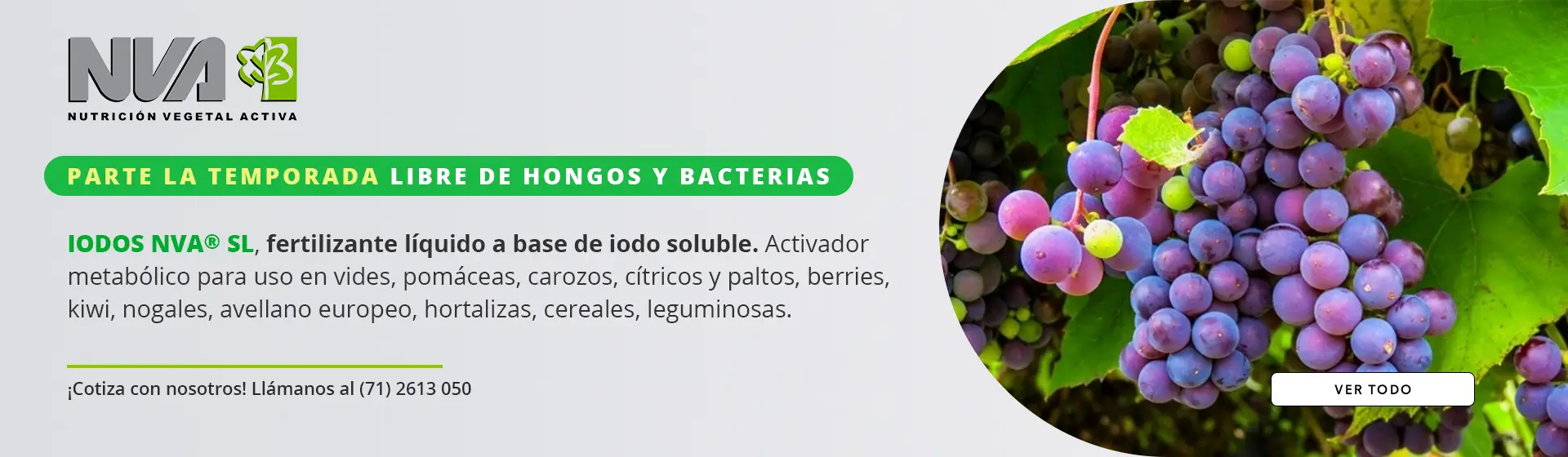 fertilizante liquido activador metabolico para vides pomaceas carozos citricos paltos berries kiwi nogales avellano hortalizas cereales nva talca chile pascheagroindustrial 1