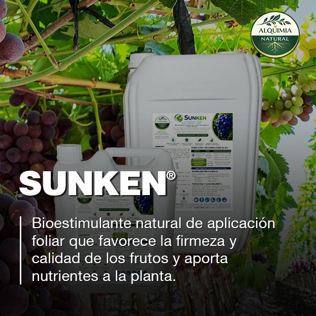 SUNKEN abono foliar Alquimia Natural para firmeza y calidad de frutos