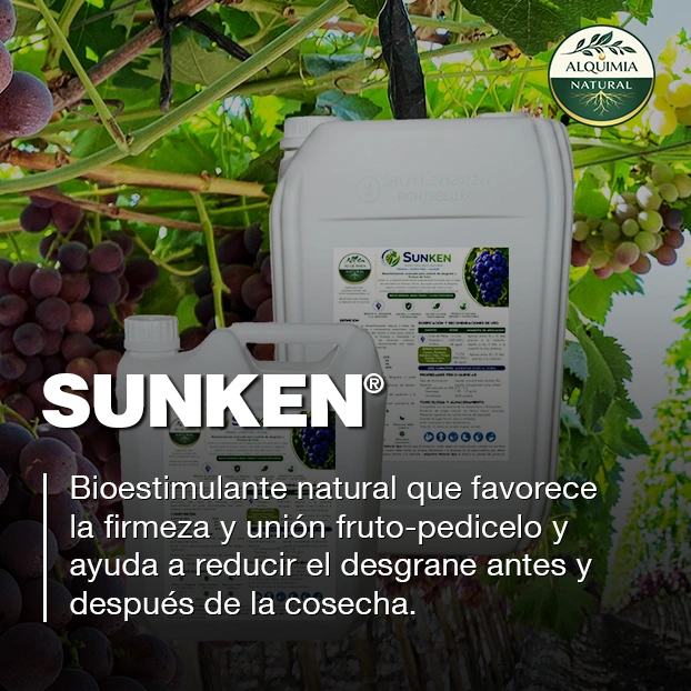 SUNKEN bioestimulante Alquimia Natural para prevención del desgrane y firmeza de frutos